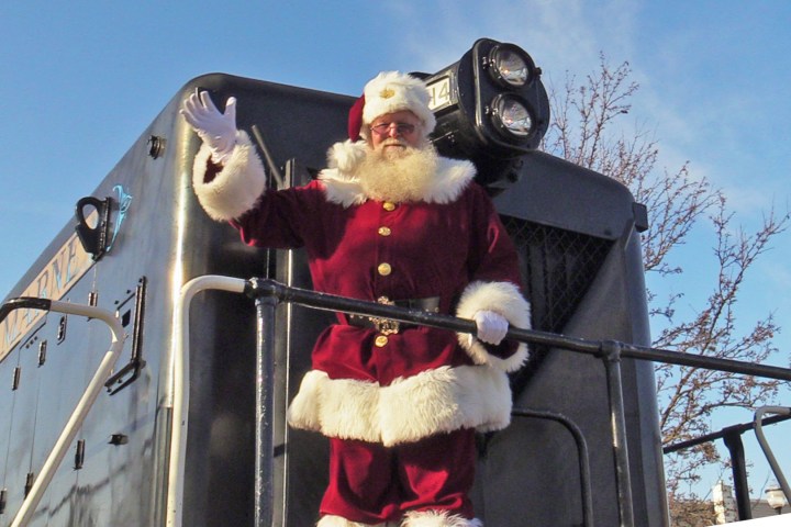 a group of stuffed animals