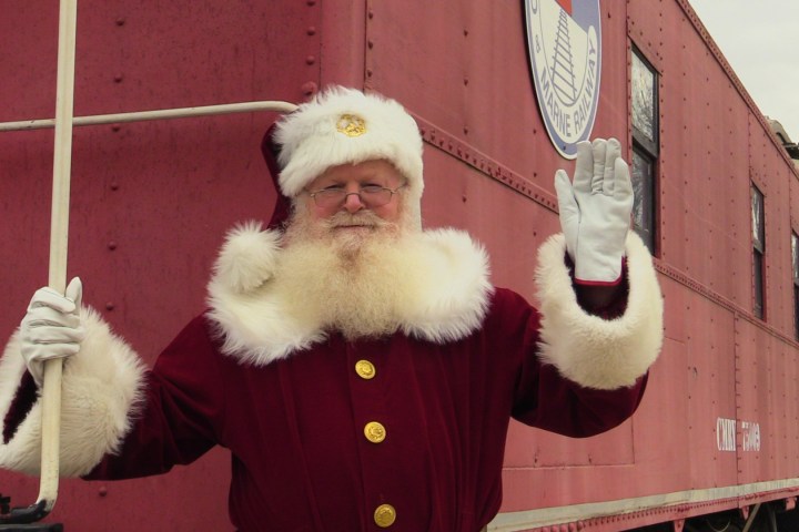 a person wearing a costume