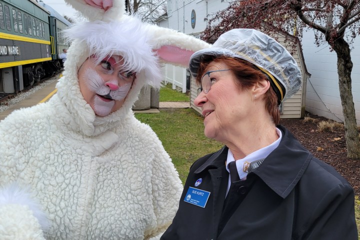 a person wearing a bow tie and a hat