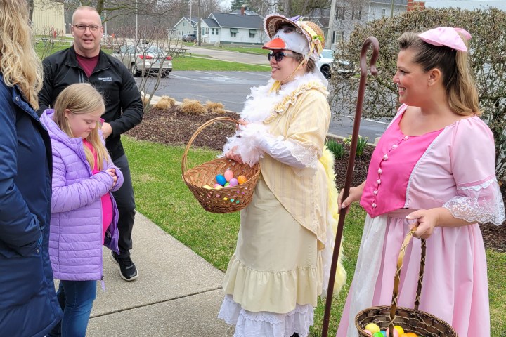 a little girl that is standing in the grass