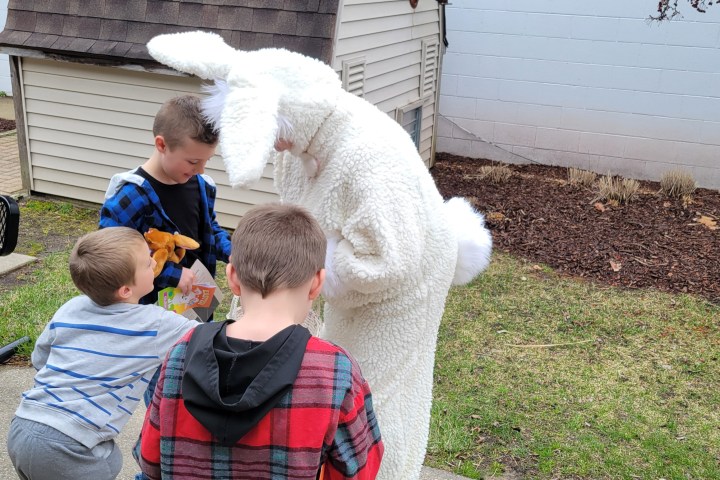 a little boy that is sitting in the grass
